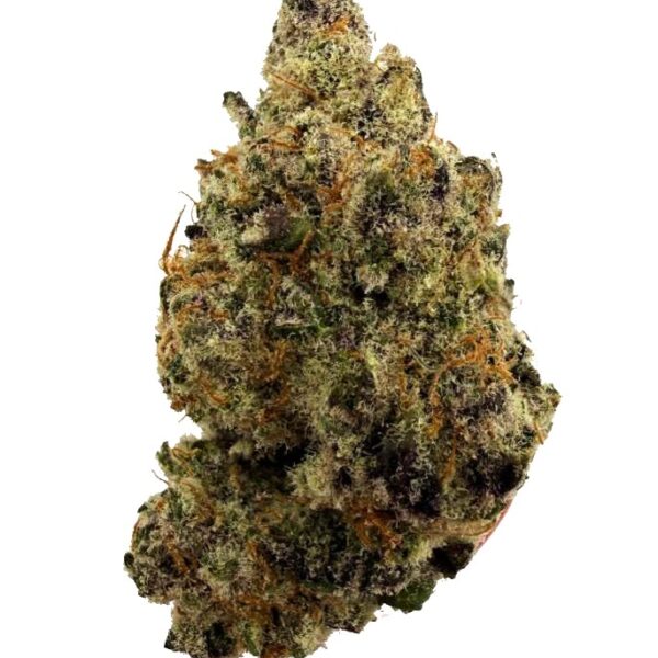 White Truffle - Living Soil THCa (Indica)